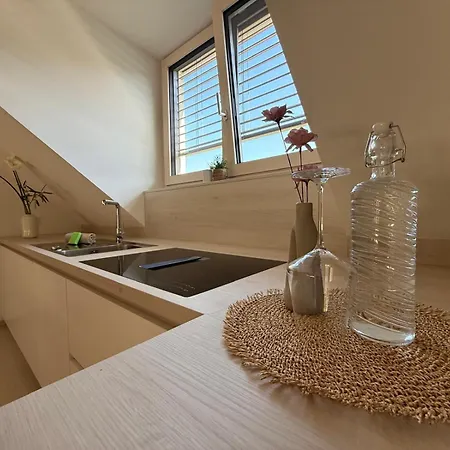 Donau-loft Private Parking Near And Highway Apartment
